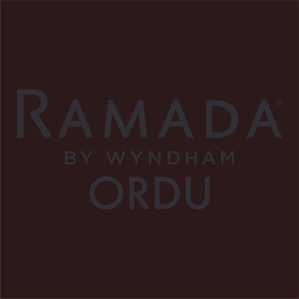 FUSE TEA MANGO (330ML)